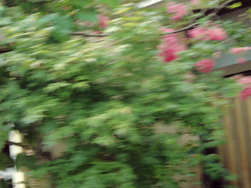 f:id:amenomorino:20150908092852j:plain f:id:amenomorino:20150908092852j:plain