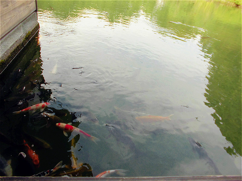 f:id:amenomorino:20150922210213j:plain f:id:amenomorino:20150922210213j:plain