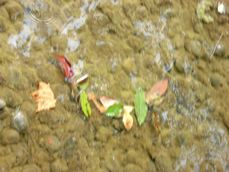f:id:amenomorino:20150924191212j:plain f:id:amenomorino:20150924191212j:plain