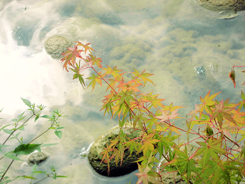 f:id:amenomorino:20150924191220j:plain f:id:amenomorino:20150924191220j:plain