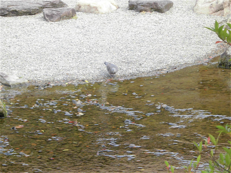 f:id:amenomorino:20150925195749j:plain f:id:amenomorino:20150925195749j:plain