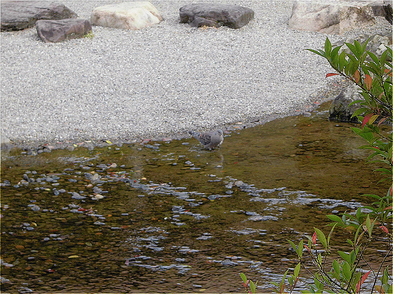 f:id:amenomorino:20150925195758j:plain f:id:amenomorino:20150925195758j:plain