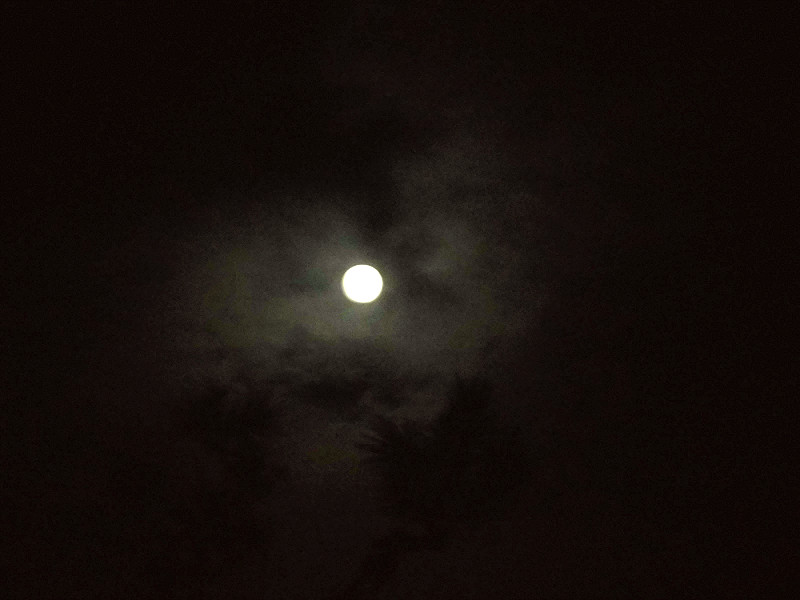 f:id:amenomorino:20150927201945j:plain f:id:amenomorino:20150927201945j:plain