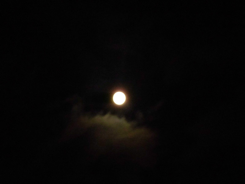 f:id:amenomorino:20150927201951j:plain f:id:amenomorino:20150927201951j:plain