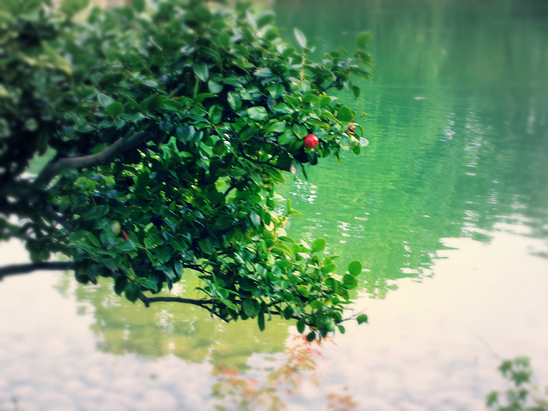 f:id:amenomorino:20150930110713j:plain f:id:amenomorino:20150930110713j:plain