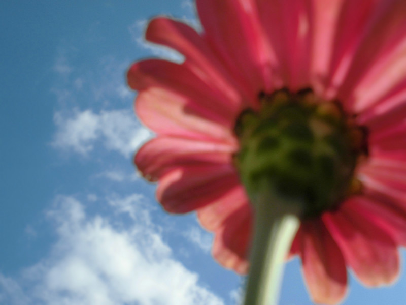 f:id:amenomorino:20151012203921j:plain f:id:amenomorino:20151012203921j:plain