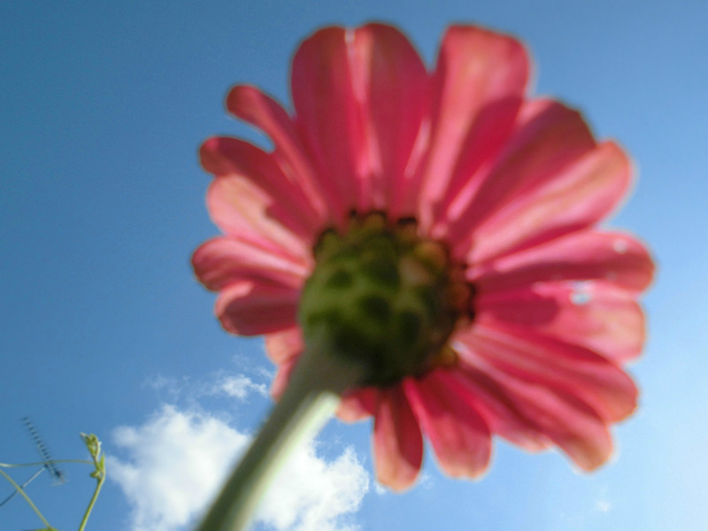 f:id:amenomorino:20151012204021j:plain f:id:amenomorino:20151012204021j:plain