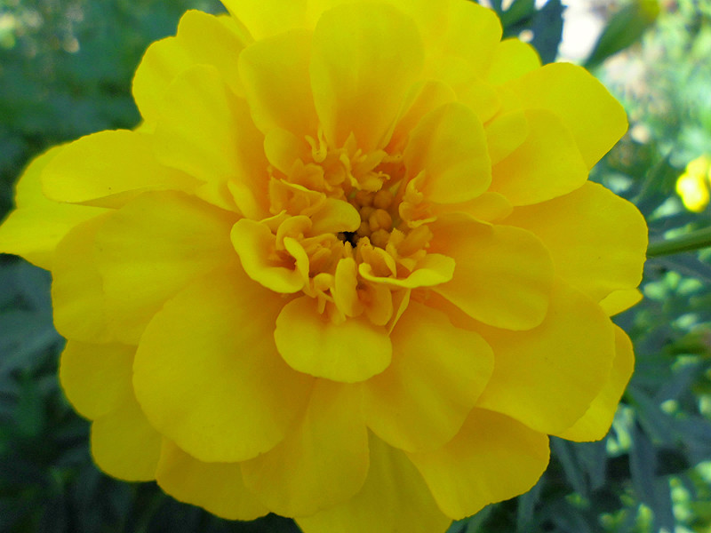 f:id:amenomorino:20151012204046j:plain f:id:amenomorino:20151012204046j:plain