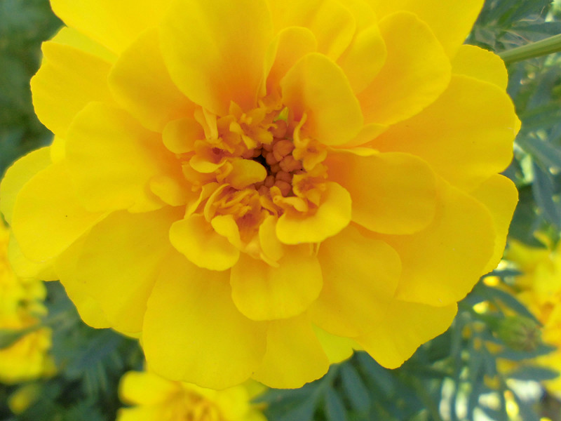 f:id:amenomorino:20151012204051j:plain f:id:amenomorino:20151012204051j:plain