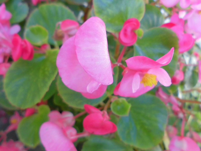 f:id:amenomorino:20151012204059j:plain f:id:amenomorino:20151012204059j:plain