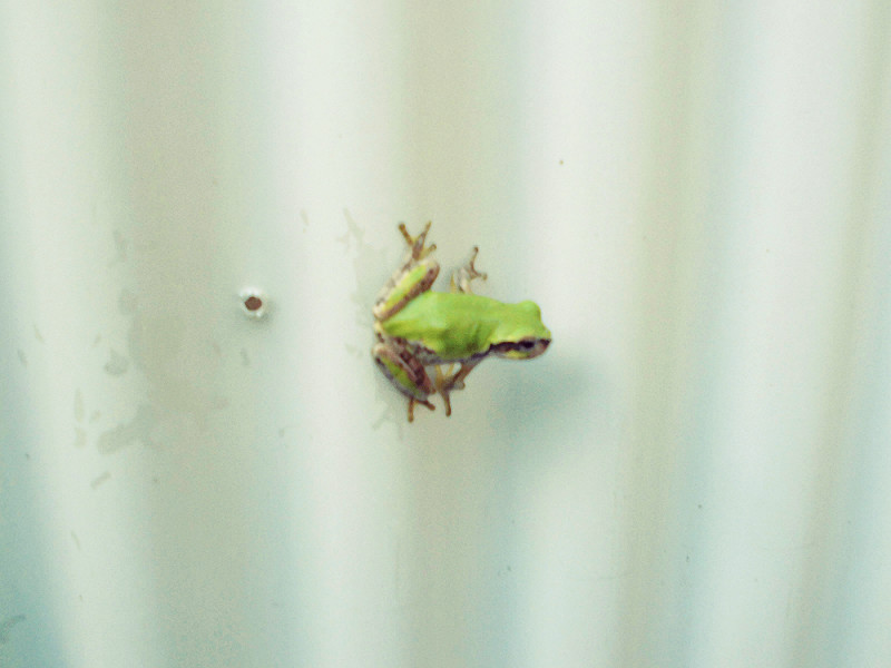 f:id:amenomorino:20151012204335j:plain f:id:amenomorino:20151012204335j:plain