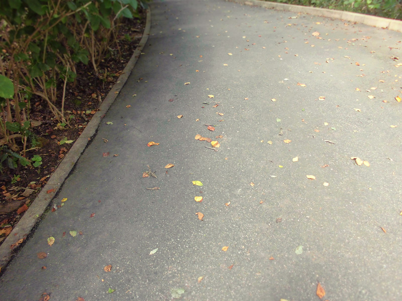 f:id:amenomorino:20151019140124j:plain f:id:amenomorino:20151019140124j:plain