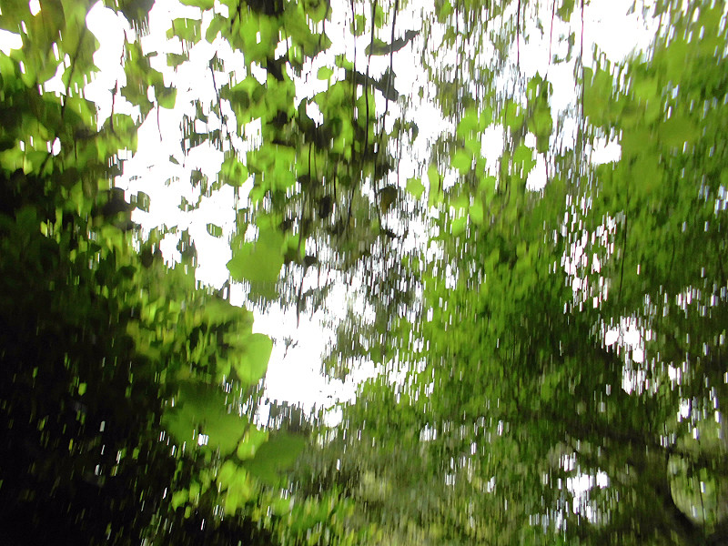 f:id:amenomorino:20151019140154j:plain f:id:amenomorino:20151019140154j:plain