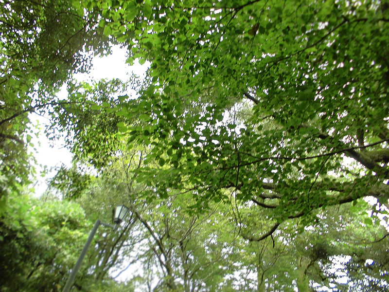 f:id:amenomorino:20151019140203j:plain f:id:amenomorino:20151019140203j:plain