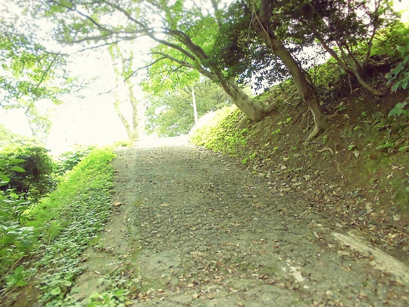f:id:amenomorino:20151019140230j:plain f:id:amenomorino:20151019140230j:plain