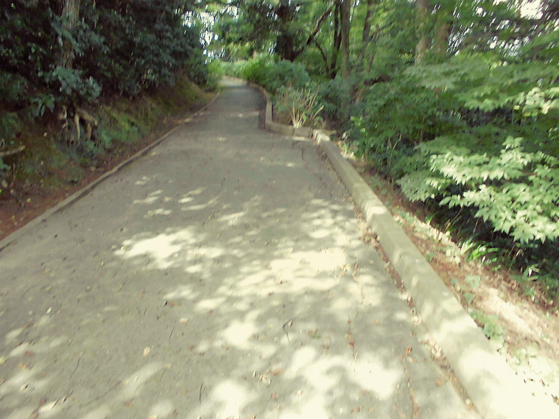 f:id:amenomorino:20151019140500j:plain f:id:amenomorino:20151019140500j:plain