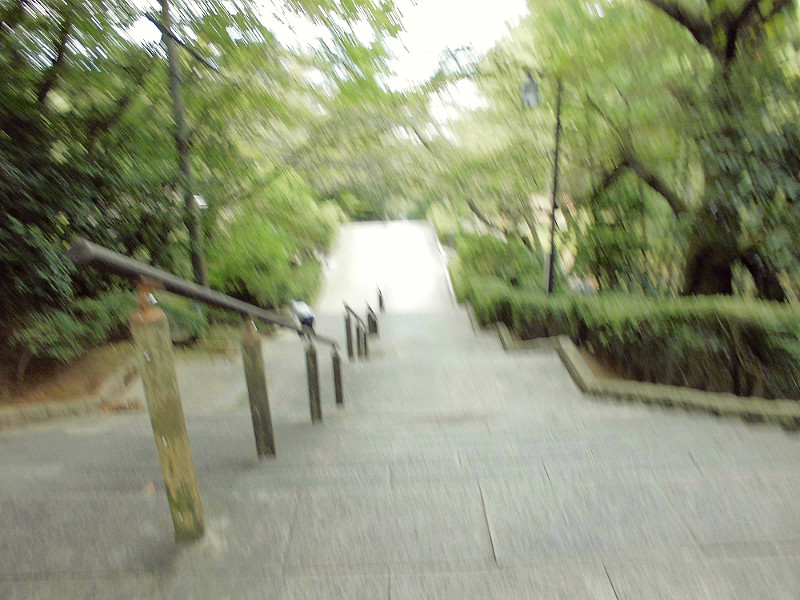 f:id:amenomorino:20151019140552j:plain f:id:amenomorino:20151019140552j:plain