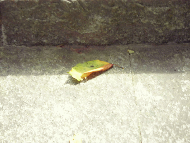 f:id:amenomorino:20151019140558j:plain f:id:amenomorino:20151019140558j:plain