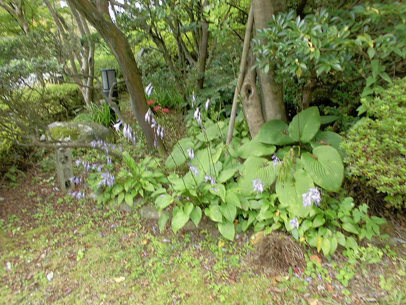 f:id:amenomorino:20151019140947j:plain f:id:amenomorino:20151019140947j:plain