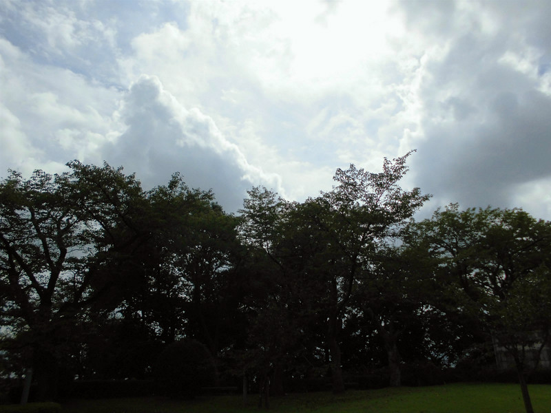 f:id:amenomorino:20151019141240j:plain f:id:amenomorino:20151019141240j:plain