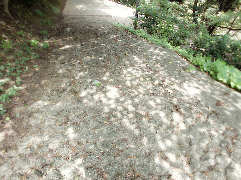 f:id:amenomorino:20151019153204j:plain f:id:amenomorino:20151019153204j:plain