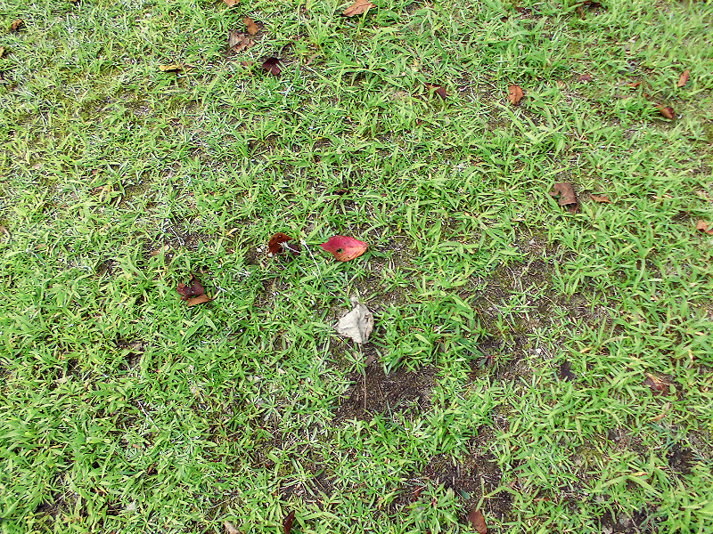 f:id:amenomorino:20151019153722j:plain f:id:amenomorino:20151019153722j:plain