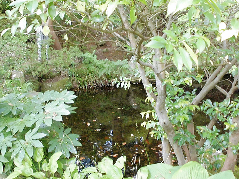 f:id:amenomorino:20151019153917j:plain f:id:amenomorino:20151019153917j:plain