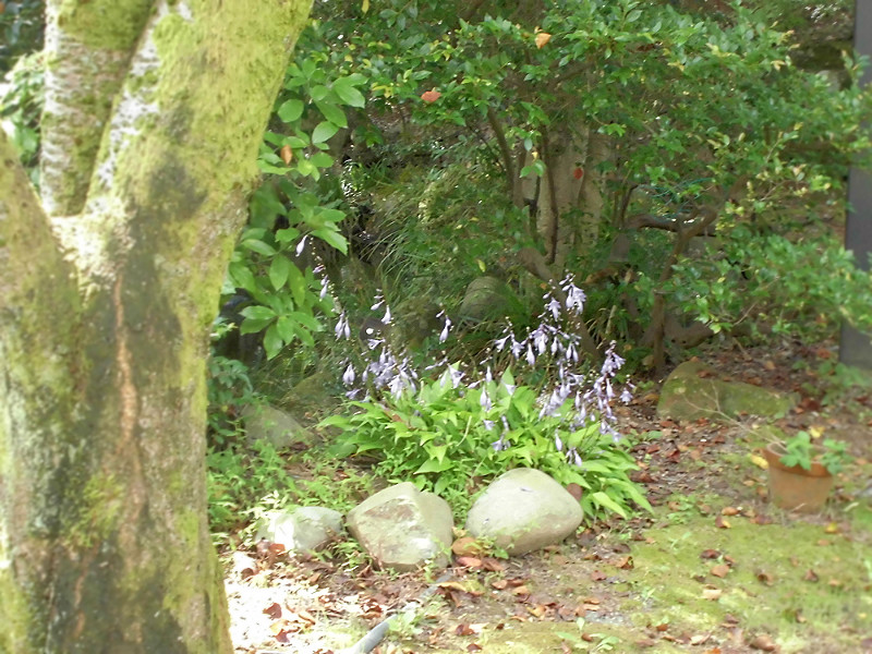 f:id:amenomorino:20151021191427j:plain f:id:amenomorino:20151021191427j:plain