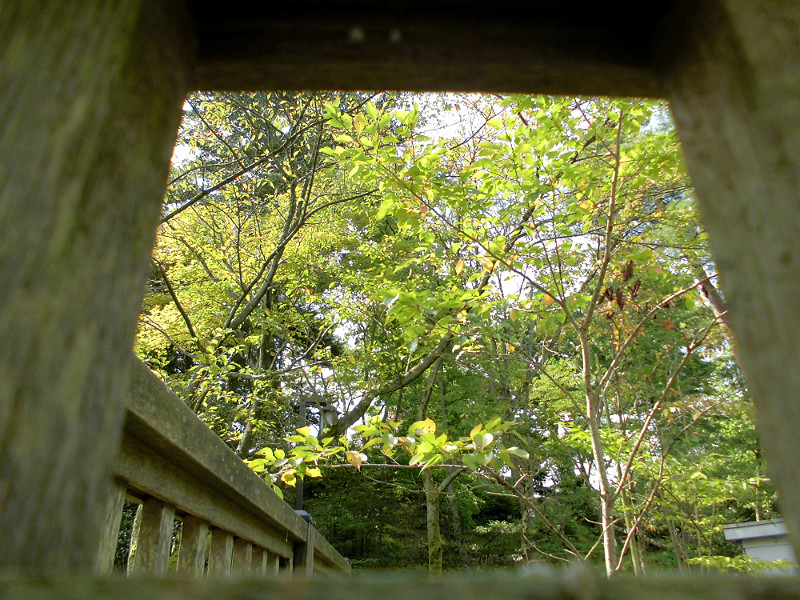 f:id:amenomorino:20151021191912j:plain f:id:amenomorino:20151021191912j:plain
