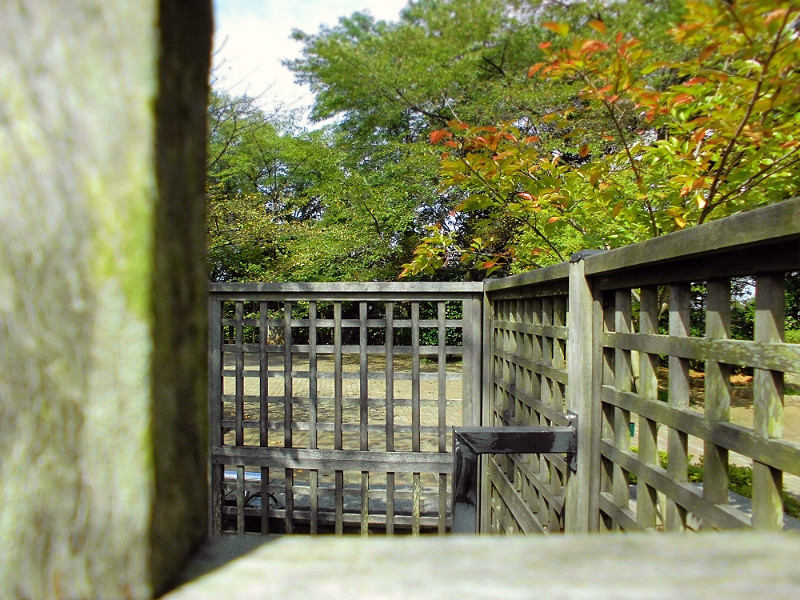 f:id:amenomorino:20151021191959j:plain f:id:amenomorino:20151021191959j:plain