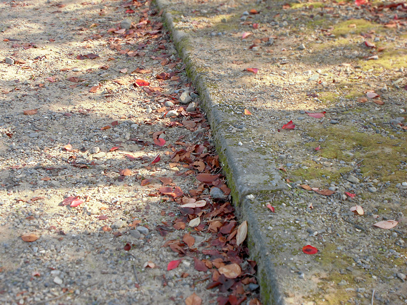 f:id:amenomorino:20151026073616j:plain f:id:amenomorino:20151026073616j:plain
