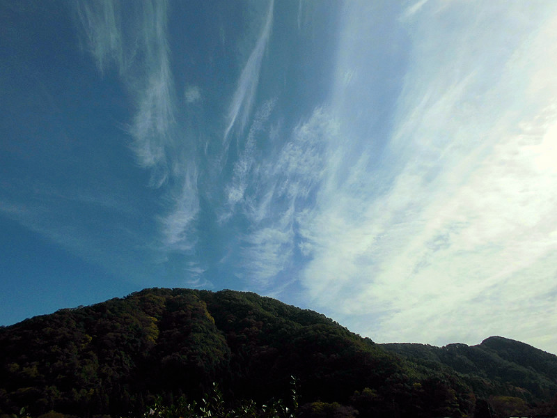 f:id:amenomorino:20151101194333j:plain