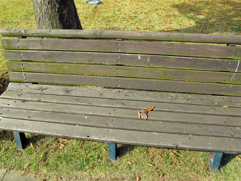 f:id:amenomorino:20151101195114j:plain