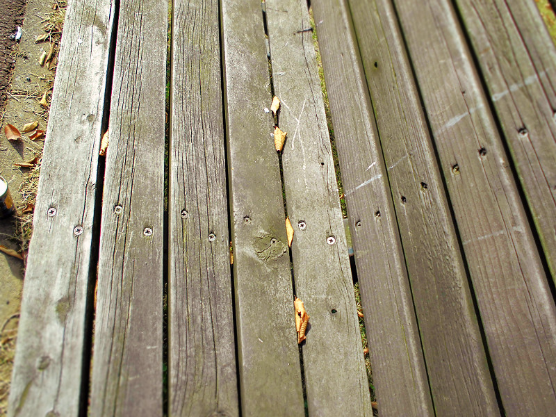 f:id:amenomorino:20151101195122j:plain