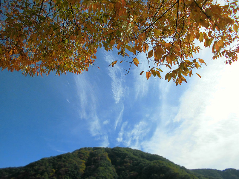 f:id:amenomorino:20151101200156j:plain