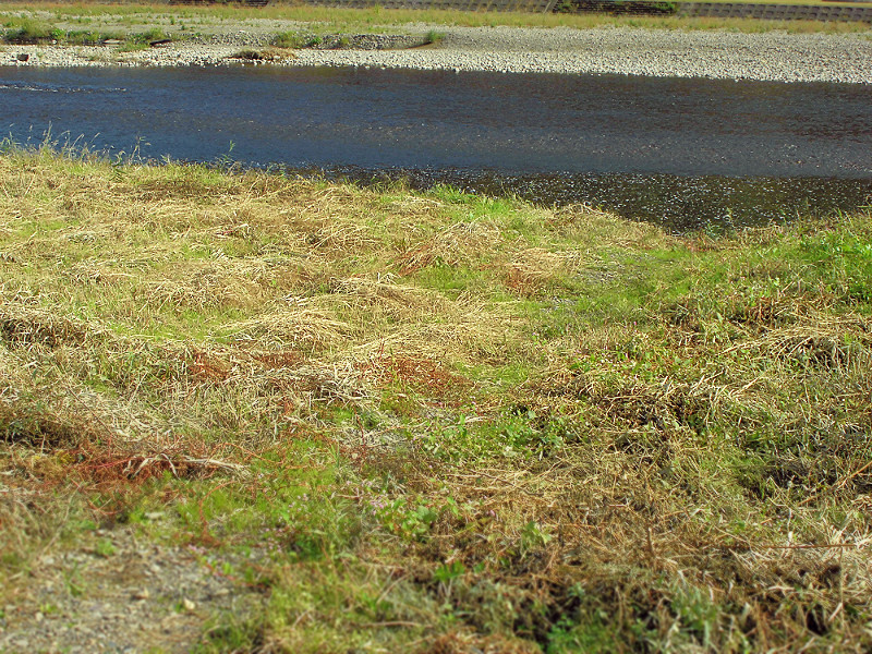 f:id:amenomorino:20151101200404j:plain