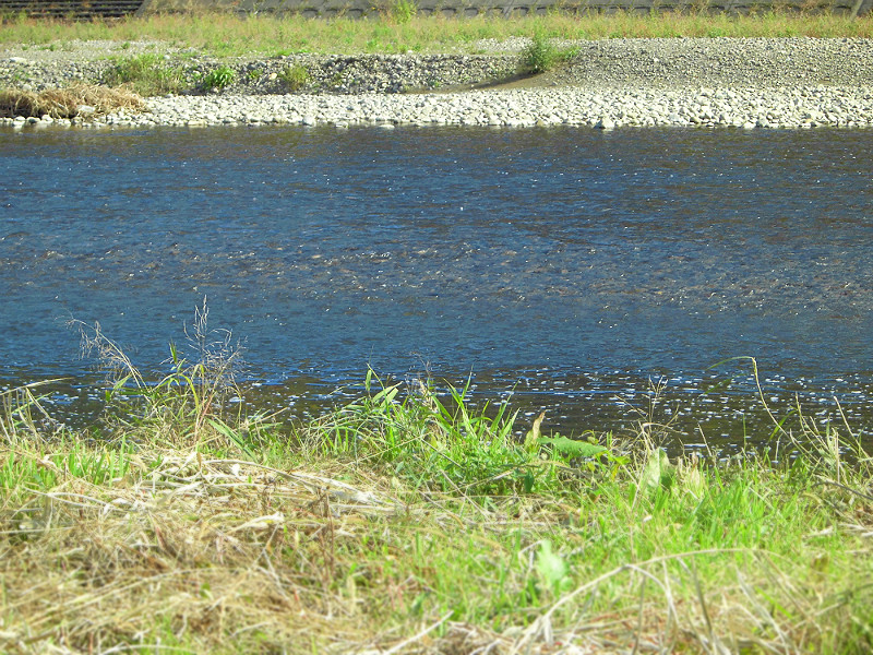 f:id:amenomorino:20151101200410j:plain