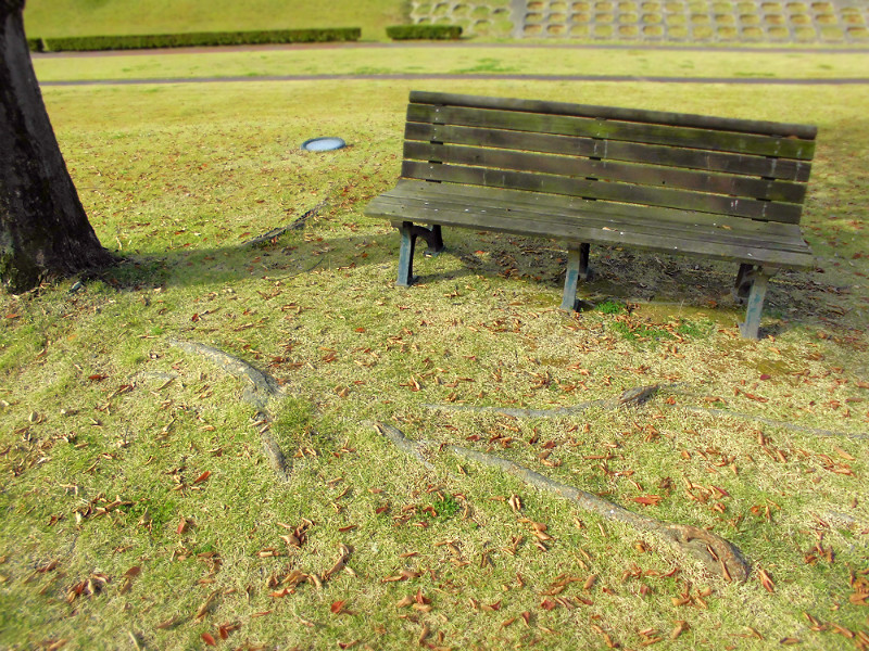 f:id:amenomorino:20151104075518j:plain