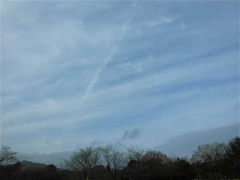f:id:amenomorino:20151123194316j:plain f:id:amenomorino:20151123194316j:plain