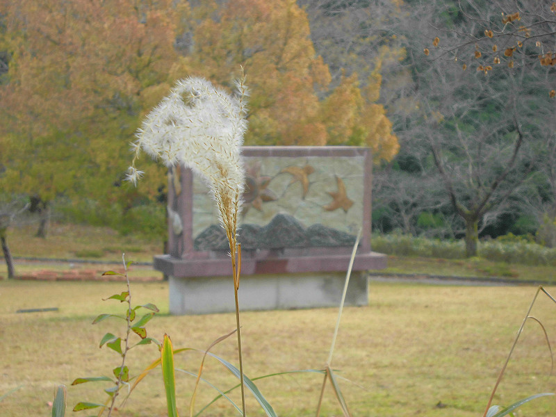 f:id:amenomorino:20151123194442j:plain f:id:amenomorino:20151123194442j:plain