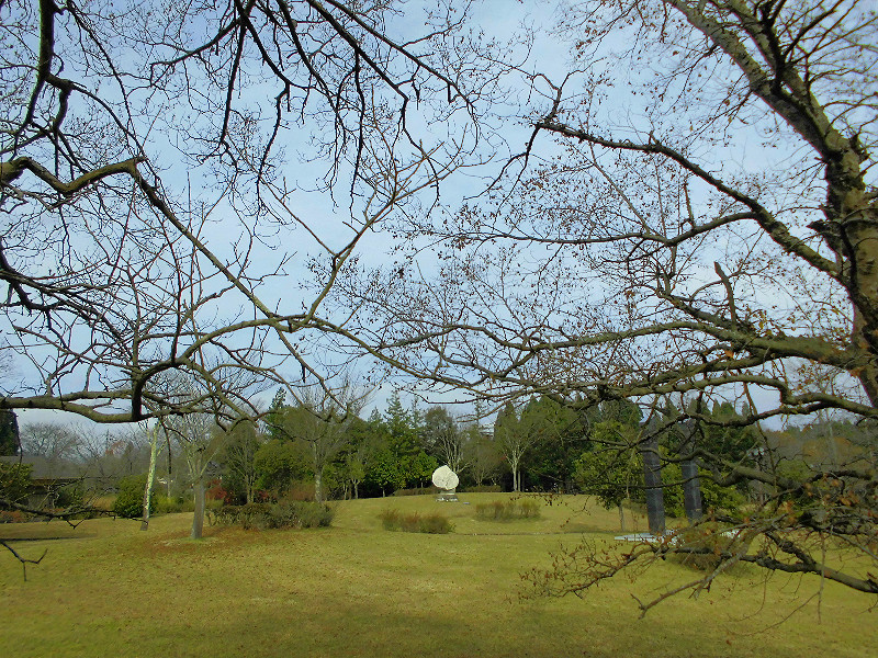 f:id:amenomorino:20151123194712j:plain f:id:amenomorino:20151123194712j:plain