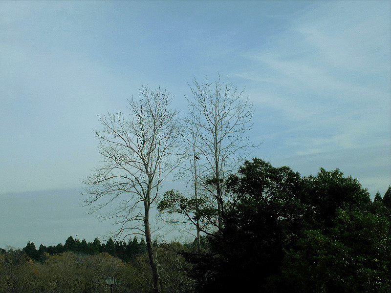 f:id:amenomorino:20151123195244j:plain f:id:amenomorino:20151123195244j:plain