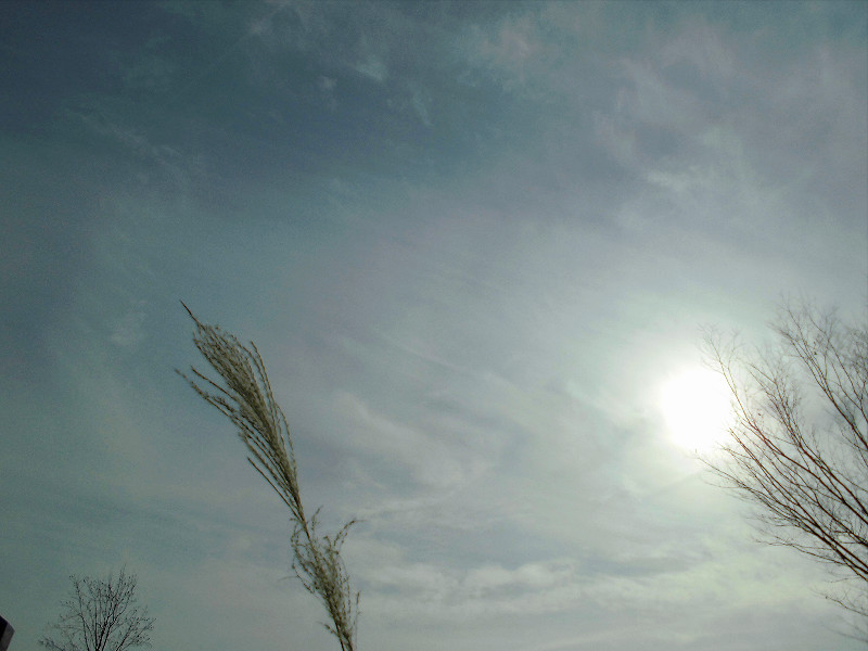 f:id:amenomorino:20151123204030j:plain f:id:amenomorino:20151123204030j:plain