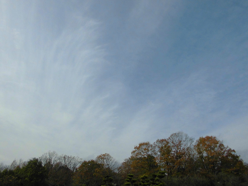 f:id:amenomorino:20151129183147j:plain f:id:amenomorino:20151129183147j:plain