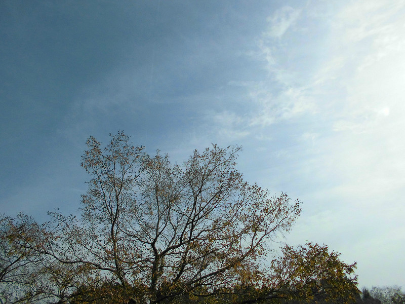 f:id:amenomorino:20151129183226j:plain f:id:amenomorino:20151129183226j:plain