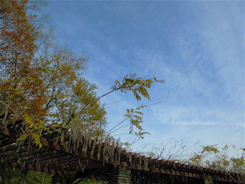 f:id:amenomorino:20151228191544j:plain f:id:amenomorino:20151228191544j:plain