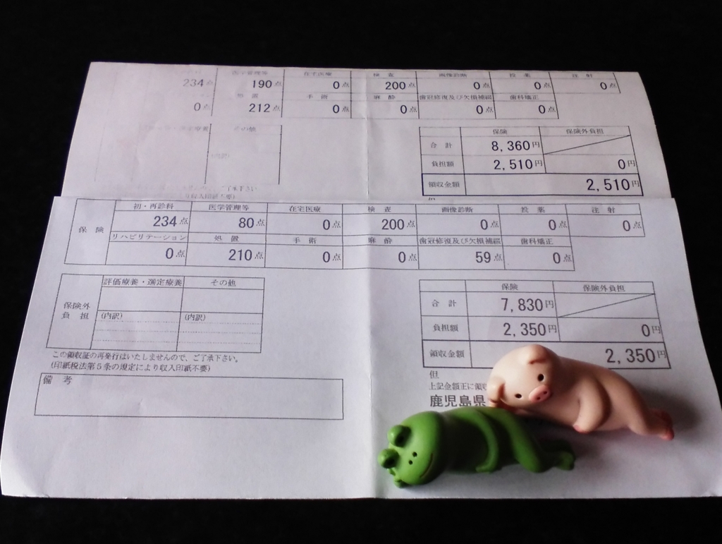 f:id:aminagako:20151112124358j:plain f:id:aminagako:20151112124358j:plain