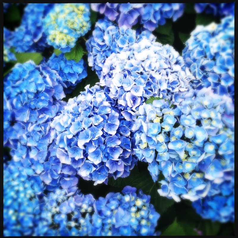 f:id:amineco:20130609182808j:plain f:id:amineco:20130609182808j:plain