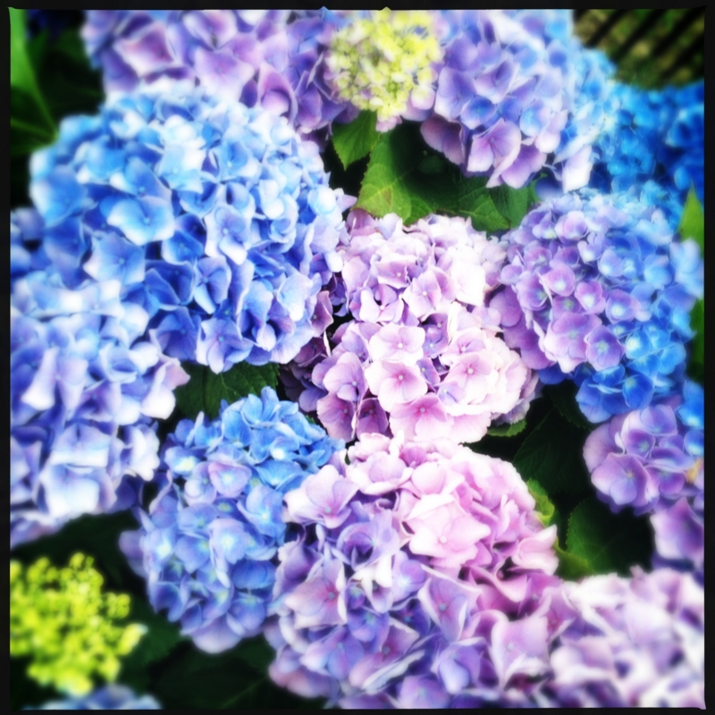 f:id:amineco:20130609182823j:plain f:id:amineco:20130609182823j:plain