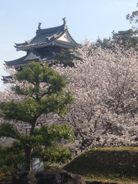 f:id:aminoco:20140401152404j:plain f:id:aminoco:20140401152404j:plain